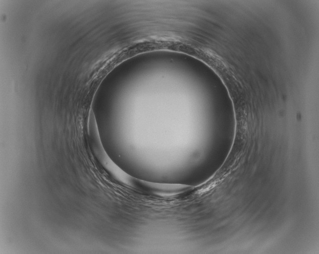 X0000068261110200604211037