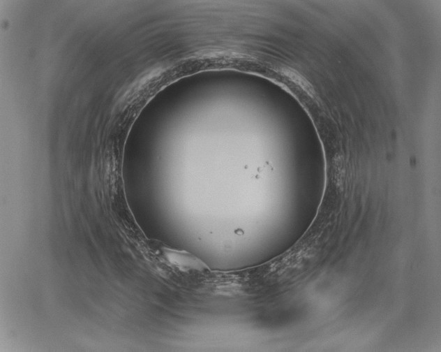 X0000068261111200604211037