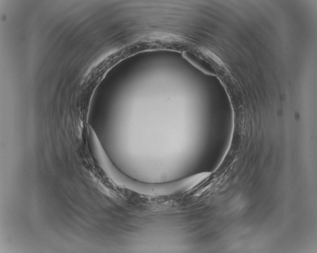 X0000068261112200604211037