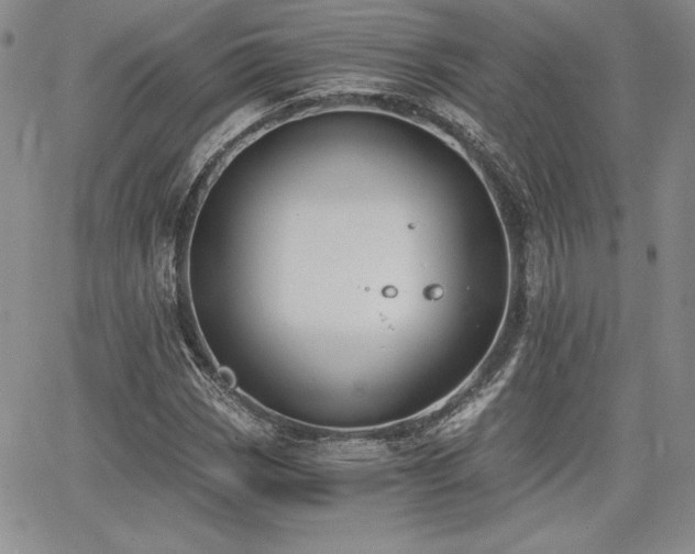 X0000068261113200604211037