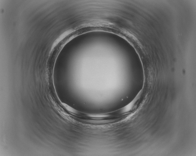 X0000068261114200604211037