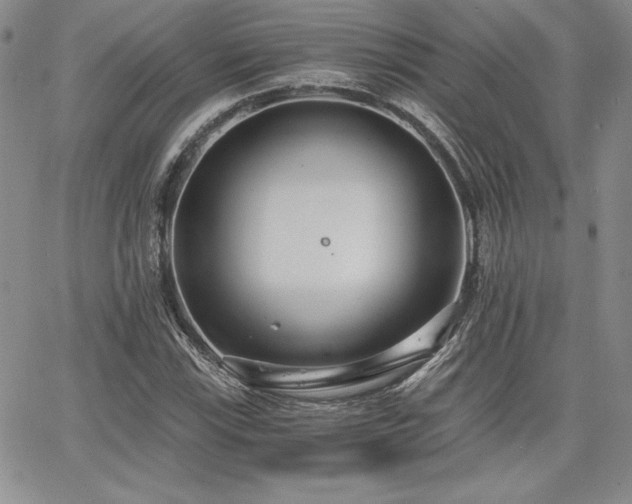 X0000068261115200604211037