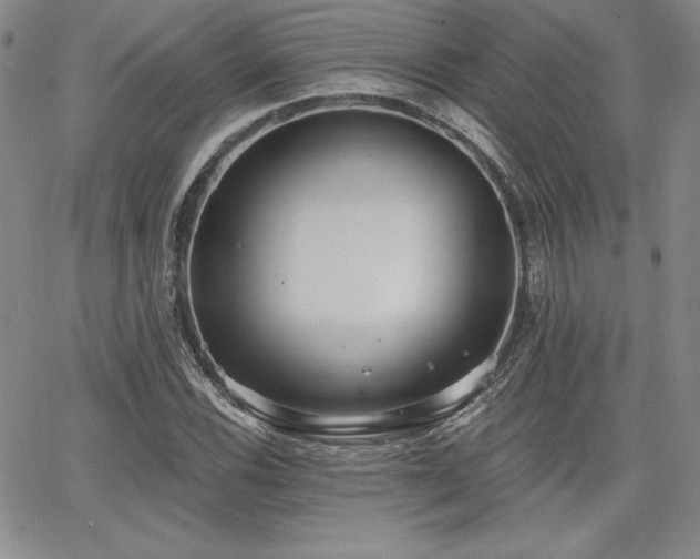 X0000068261116200604211037