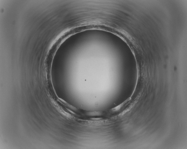 X0000068261118200604211037