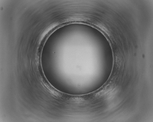 X0000068261119200604211037