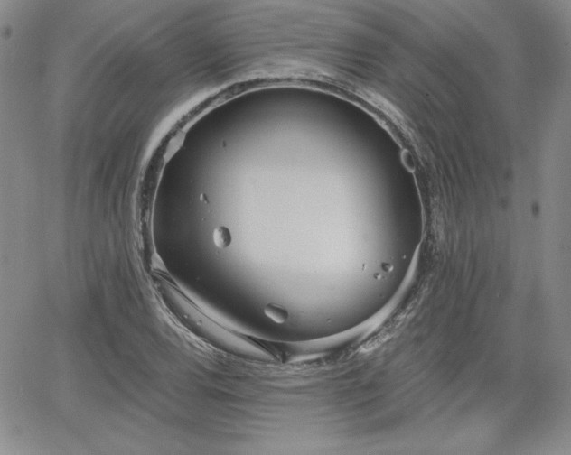 X0000068261120200604211037