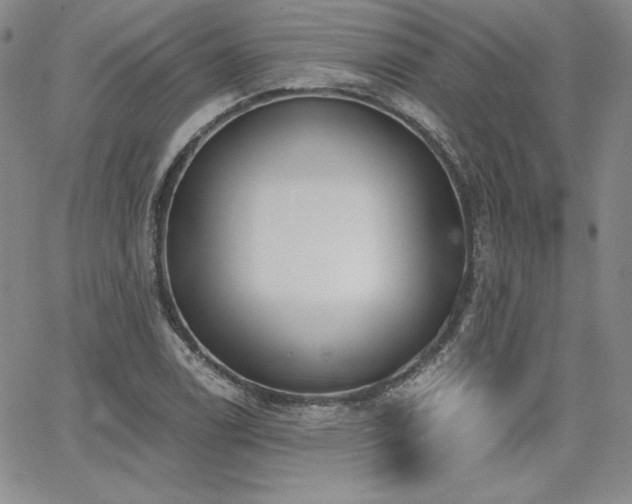 X0000068261122200604211037