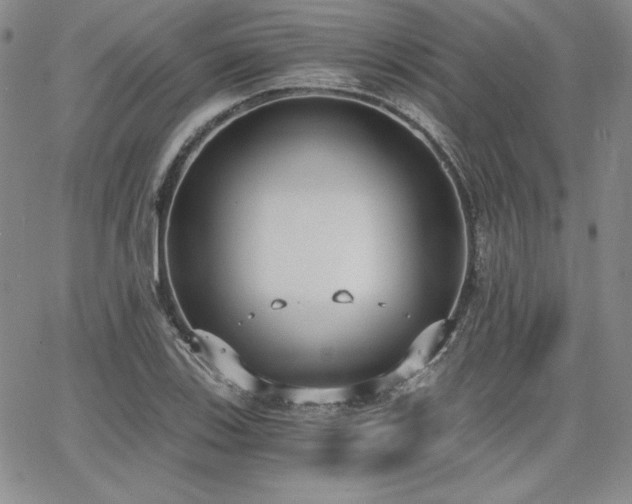 X0000068261123200604211037