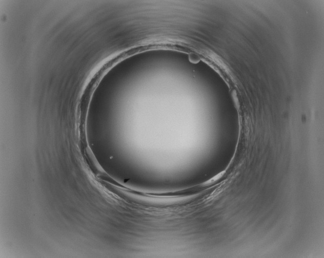 X0000068261124200604211037