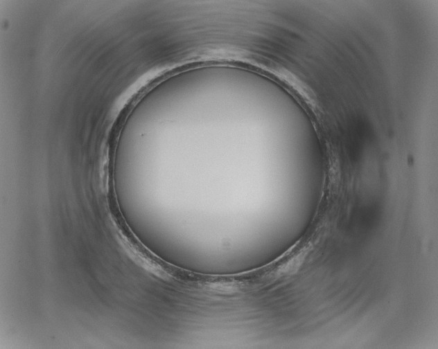 X0000068261126200604211037