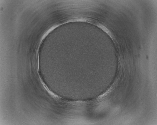 X0000068261127200604211038