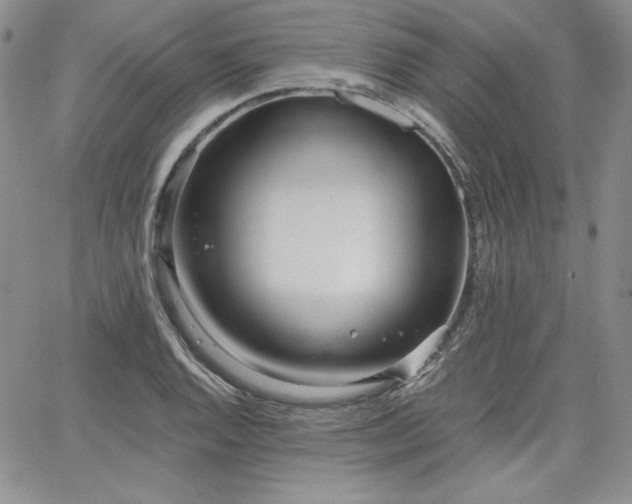 X0000068261128200604211038