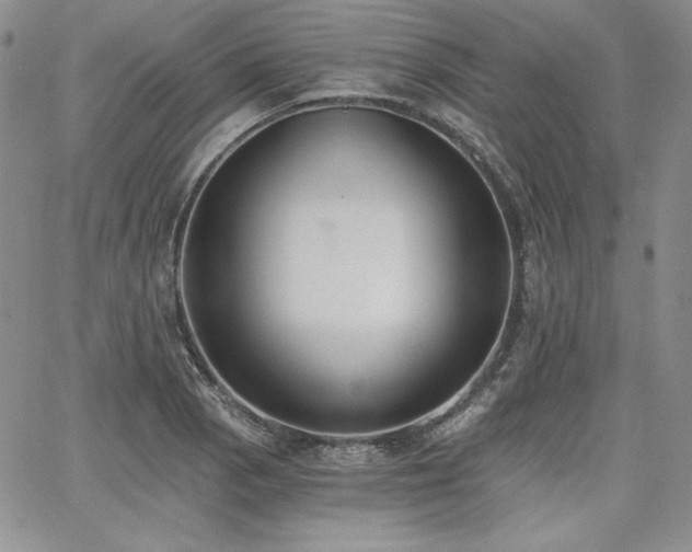 X0000068261129200604211038