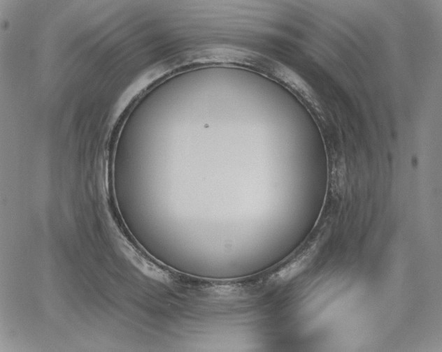 X0000068261130200604211038