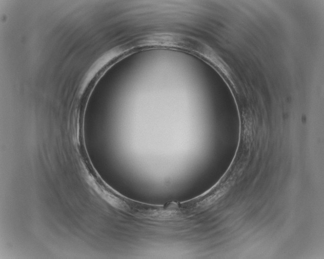 X0000068261131200604211038