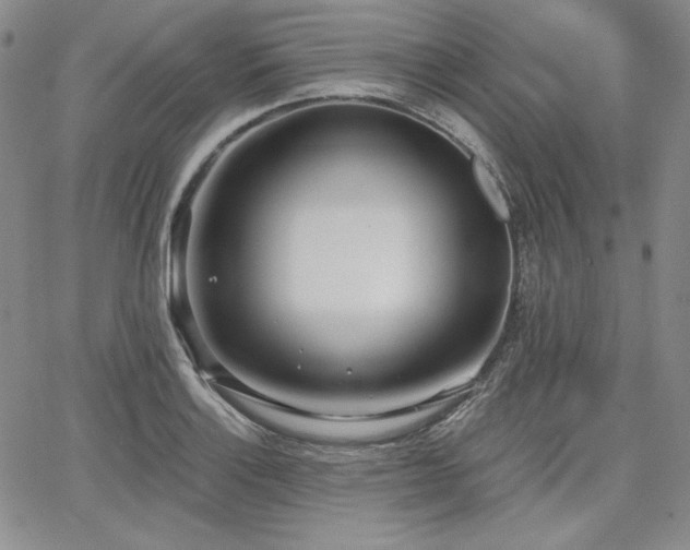 X0000068261132200604211038