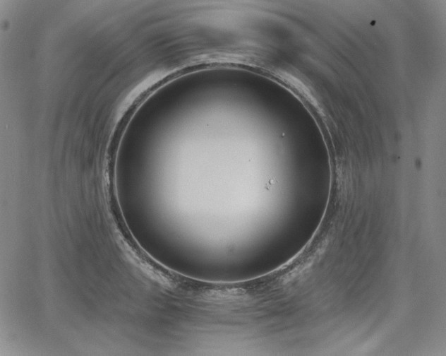 X0000068261133200604211038