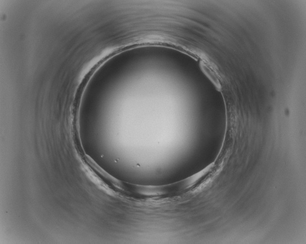 X0000068261134200604211038