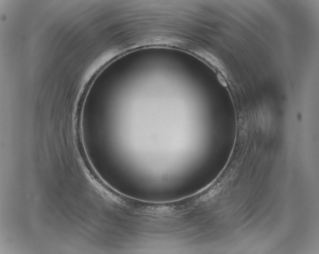 X0000068261135200604211038