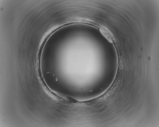 X0000068261136200604211038