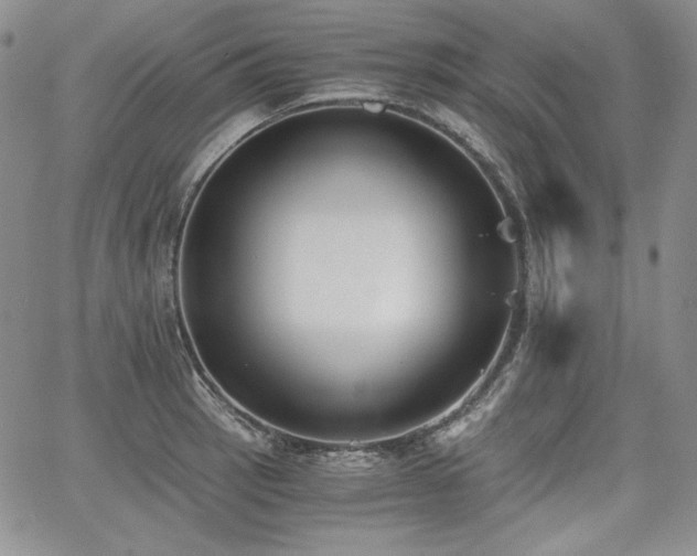 X0000068261137200604211038