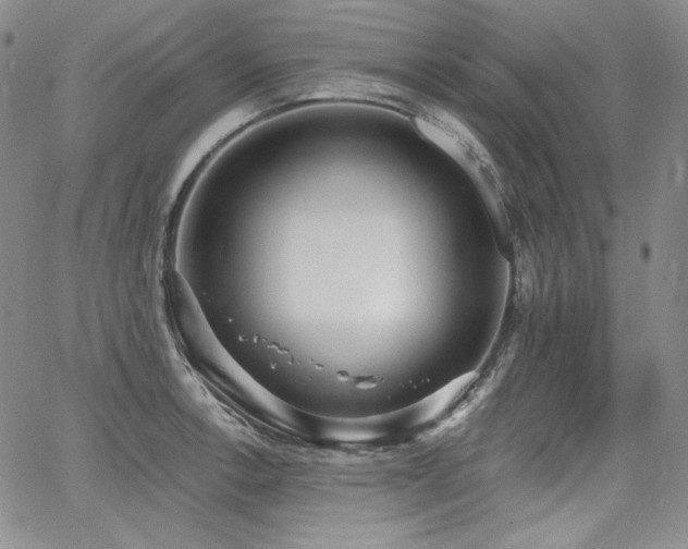 X0000068261138200604211038