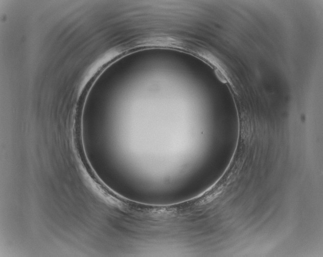 X0000068261139200604211038