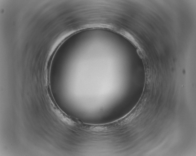 X0000068261140200604211038