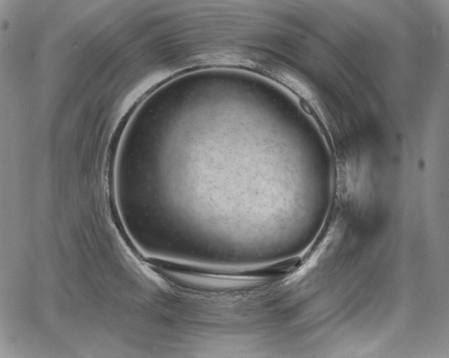 X0000068261141200604211038