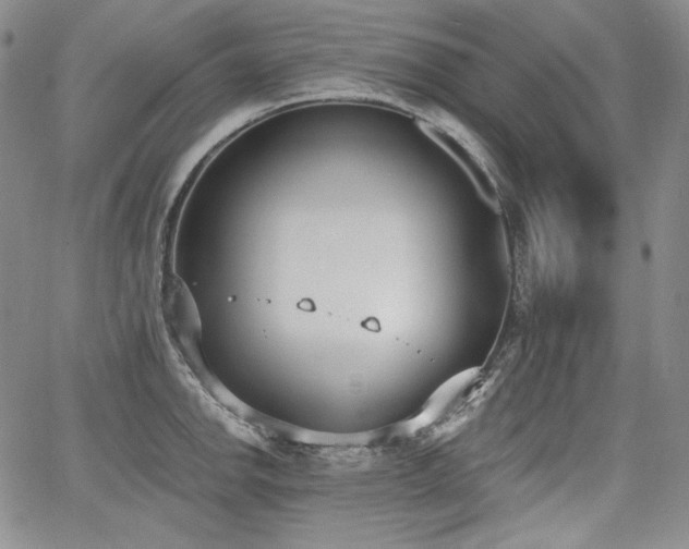 X0000068261142200604211038