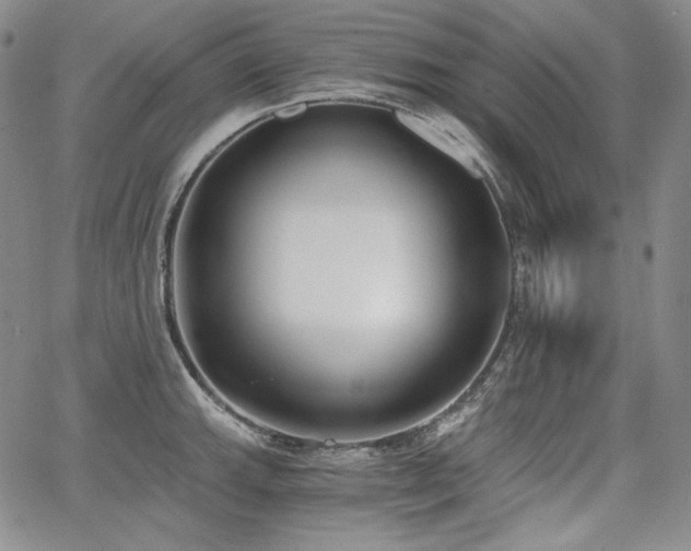 X0000068261143200604211038