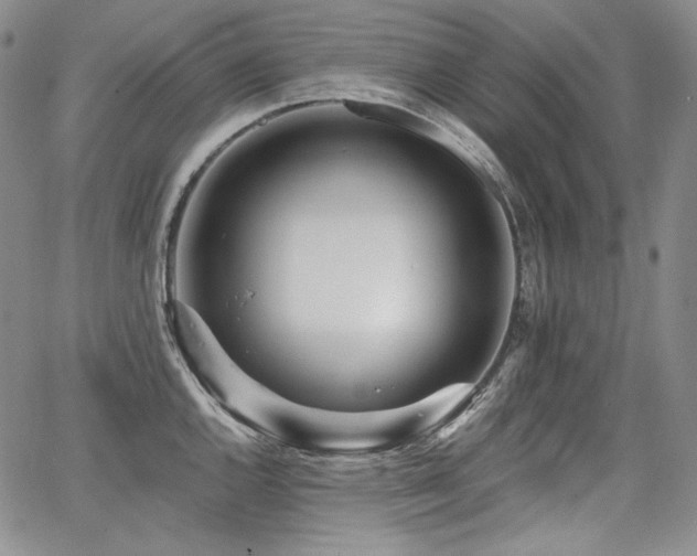 X0000068261144200604211038