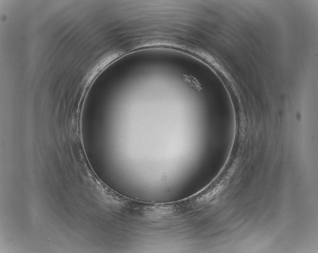 X0000068261145200604211038