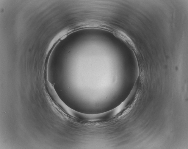 X0000068261146200604211038