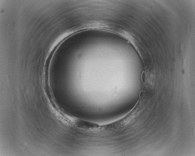 X0000068261147200604211038