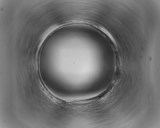 X0000068261148200604211038