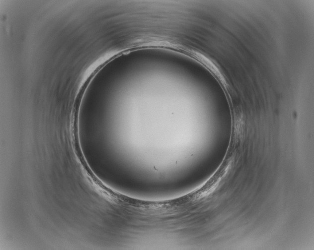 X0000068261149200604211038