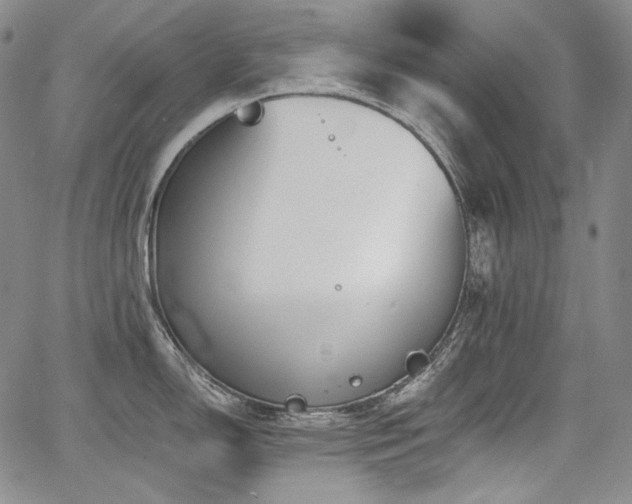 X0000068261150200604211038