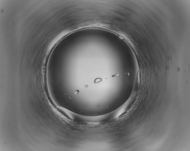 X0000068261151200604211038