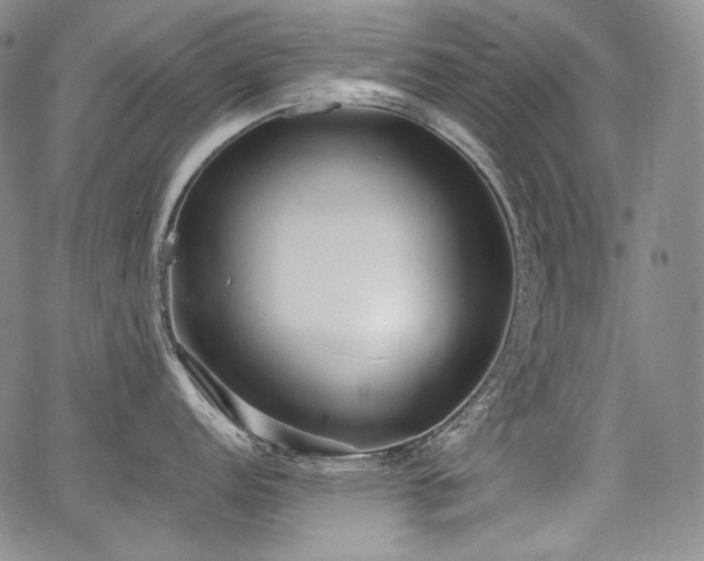 X0000068261152200604211038