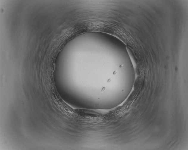 X0000068261153200604211037