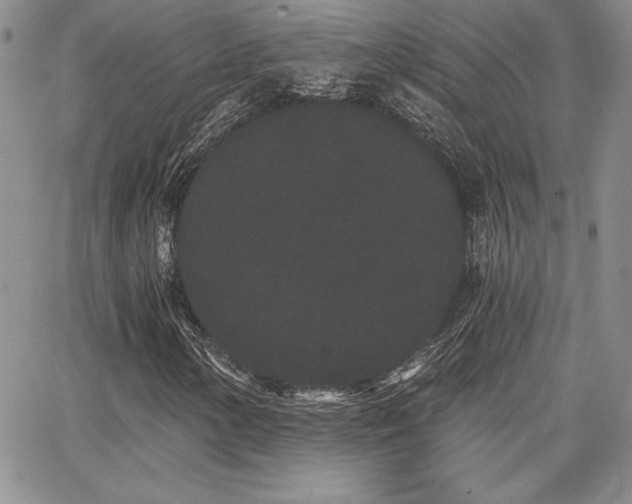 X0000068261154200604211037