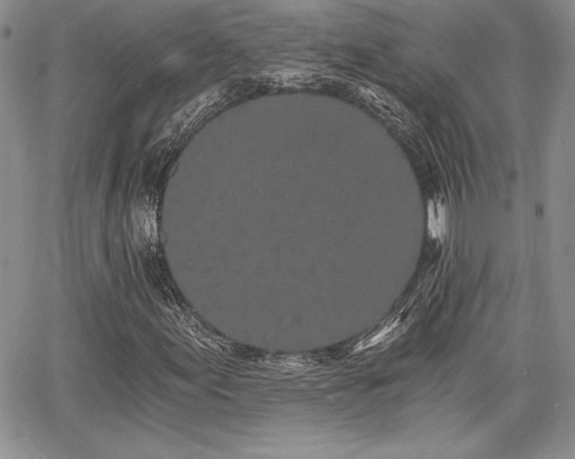 X0000068261155200604211037