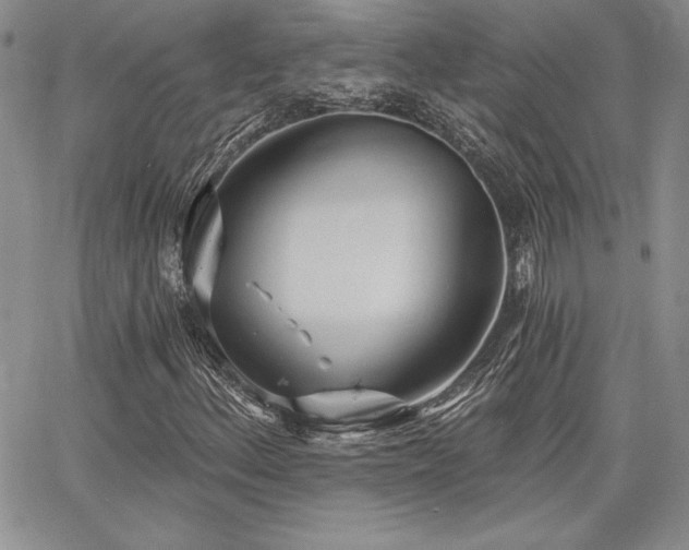 X0000068261156200604211037