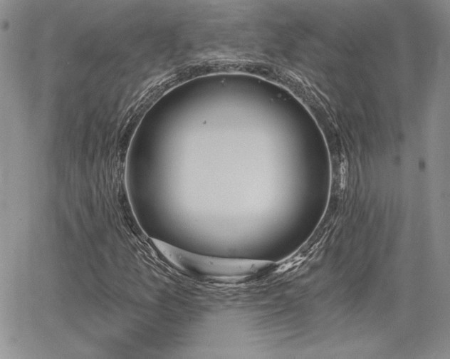 X0000068261157200604211037