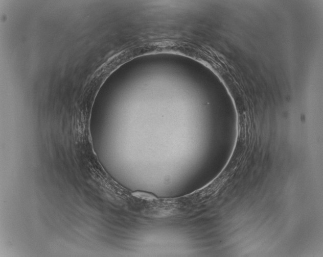 X0000068261158200604211037