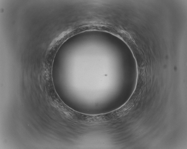 X0000068261159200604211037