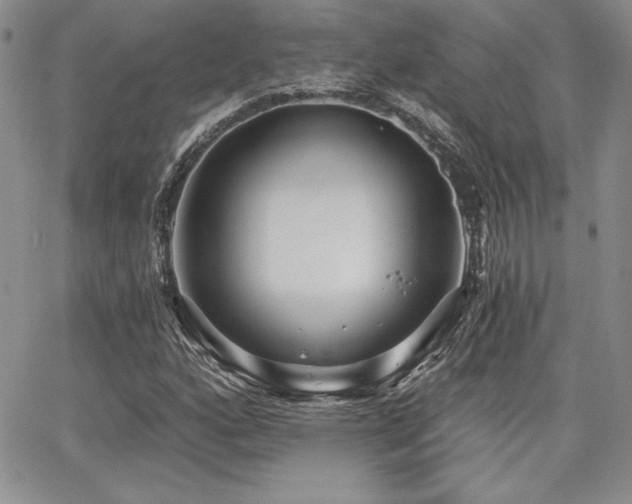 X0000068261160200604211037