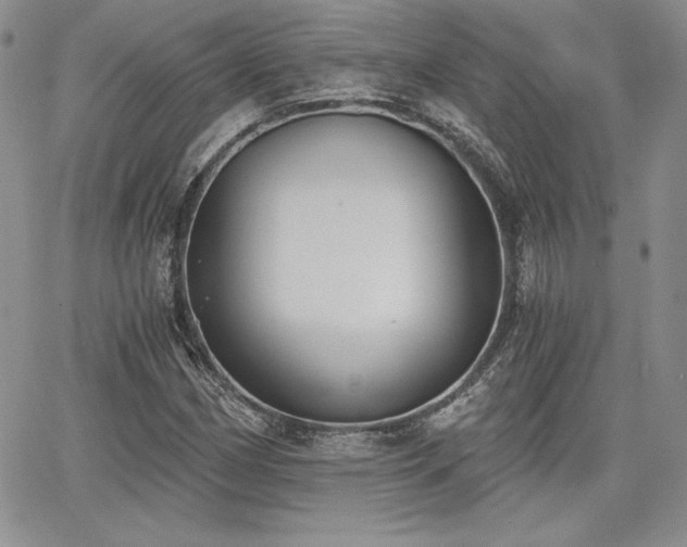 X0000068261162200604211037