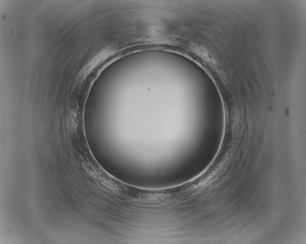 X0000068261163200604211037